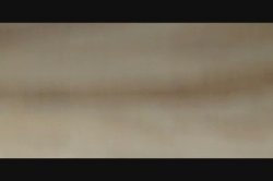 Captura de 'Chatte Magnifique' nº 81