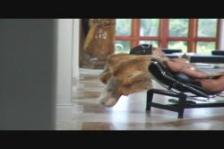 Captura de 'Chatte Magnifique' nº 82