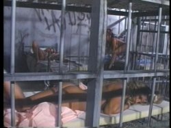 Captura de 'Girls Gone Bad 5: Mexican Justice' nº 73