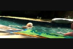 Captura de 'Naked Housewives' nº 56