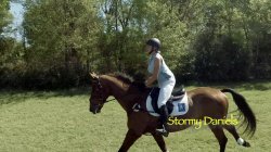 'Unbridled' screenshot nº 1