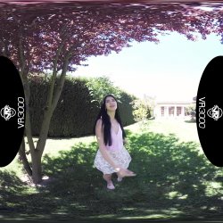 Captura de 'Garden Hoe' nº 2