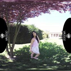 Captura de 'Garden Hoe' nº 3