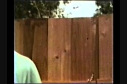 'Peepshow Loops 176: 70's & 80's' screenshot nº 22