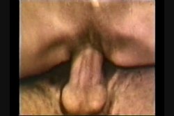 'Peepshow Loops 176: 70's & 80's' screenshot nº 30