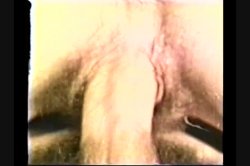 'Peepshow Loops 176: 70's & 80's' screenshot nº 40