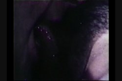 'Peepshow Loops 176: 70's & 80's' screenshot nº 4