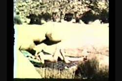 'Peepshow Loops 176: 70's & 80's' screenshot nº 45