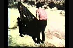 'Peepshow Loops 176: 70's & 80's' screenshot nº 54