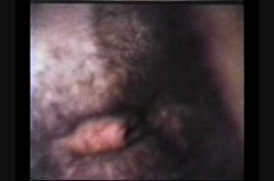 'Peepshow Loops 176: 70's & 80's' screenshot nº 85