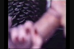 'Peepshow Loops 176: 70's & 80's' screenshot nº 98