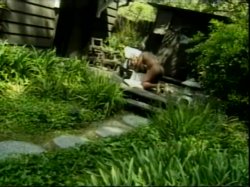 Captura de 'Filthy Fuckers 186 & 187' nº 74