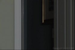 Captura de 'MILF Squirters 8' nº 31