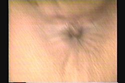 'Hispanic Orgies Vol. 3' screenshot nº 62