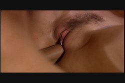 Captura de 'Cockadile Dundee' nº 64