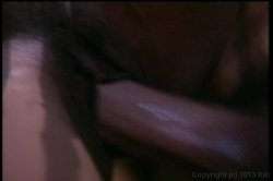 'Hotel O #2' screenshot nº 119