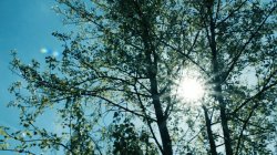 'Sunshine Lovers' screenshot nº 43