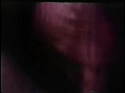 'Peepshow Loops 375: '70s & '80s (All Color)' screenshot nº 50