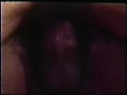 'Peepshow Loops 375: '70s & '80s (All Color)' screenshot nº 11