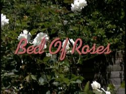 Captura de 'Bed of Roses' nº 9