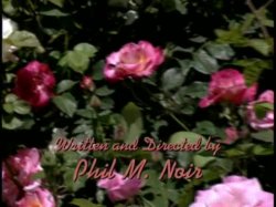 Captura de 'Bed of Roses' nº 11