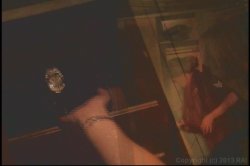 'Droolin' & Toolin'' screenshot nº 38