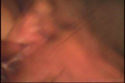 'Droolin' & Toolin'' screenshot nº 43