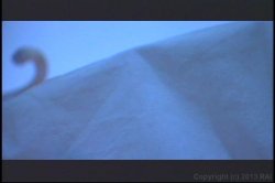 'Droolin' & Toolin'' screenshot nº 91