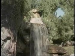 'John Wayne Bobbitt: Frankenpenis' screenshot nº 54
