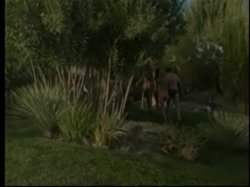 'John Wayne Bobbitt: Frankenpenis' screenshot nº 136