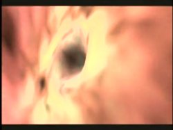 'Double Stuffed Honeys 3' screenshot nº 40