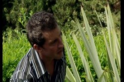 'Cannes' screenshot nº 5