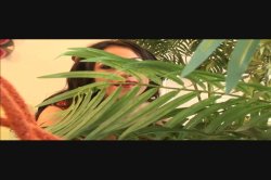 'Mexicunts 6' screenshot nº 63