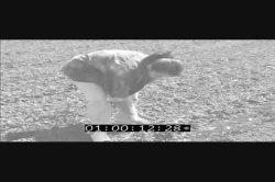 'Mexicunts 6' screenshot nº 117