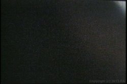 'Black All Girl Pussy Party #2' screenshot nº 44