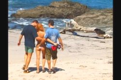 'Tropical Cock-Tale' screenshot nº 87