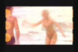 'Tropical Cock-Tale' screenshot nº 1