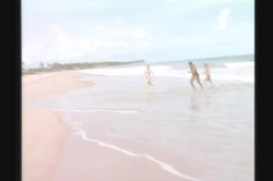 'Tropical Cock-Tale' screenshot nº 119