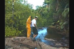 'Tropical Cock-Tale' screenshot nº 134