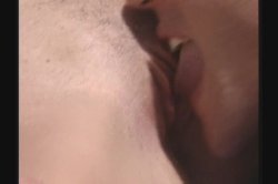 'Tropical Cock-Tale' screenshot nº 14