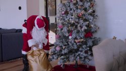 'Let's Ask Santa' screenshot nº 16