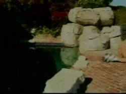 'Big Tits Galore #2' screenshot nº 17