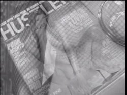 Captura de 'Hustler Centerfolds #2' nº 50