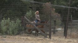 'Rawhide II: Dirty Deeds' screenshot nº 2