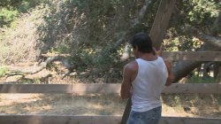 'Rawhide II: Dirty Deeds' screenshot nº 45
