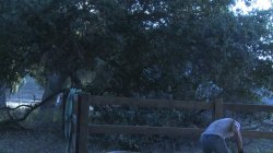 'Rawhide II: Dirty Deeds' screenshot nº 46