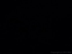 'Bitch 2' screenshot nº 31