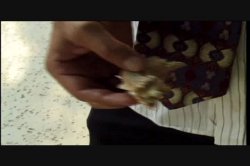 Captura de 'Stacked Vol. 6' nº 125