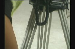 Captura de 'Editor's Choice - Cassidey' nº 36