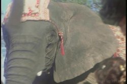 Captura de 'Gulp of Mexico, The' nº 117